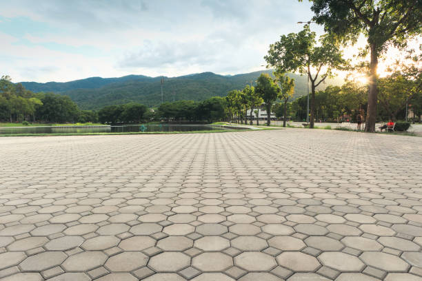Best Best Driveway Pavers  in Mesilla, NM