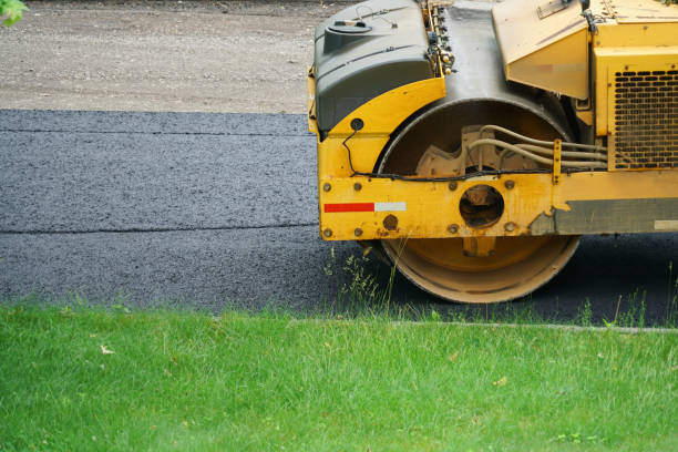 Best Professional Driveway Pavers  in Mesilla, NM