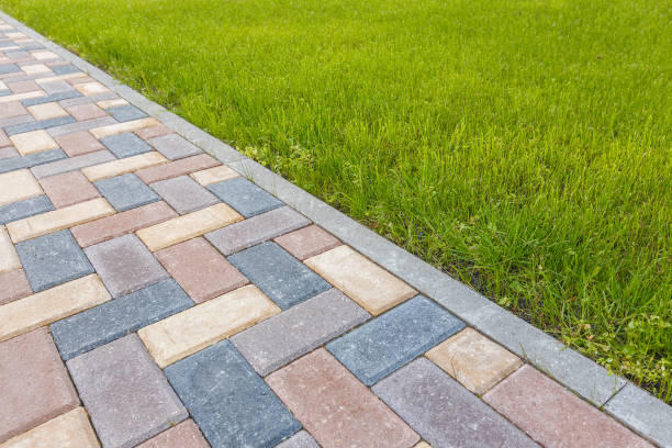 Best Residential Paver Driveway  in Mesilla, NM